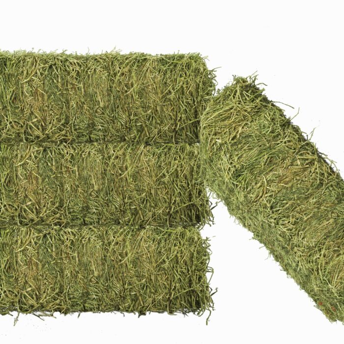 Alfalfa Hay