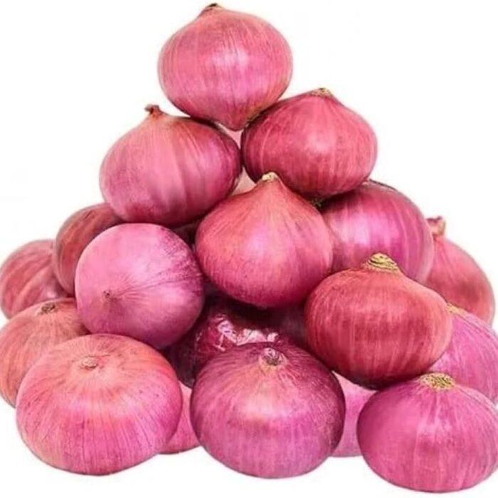 Onion
