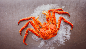 Red-King-Crab