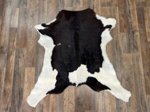 Black and White Calf