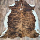 e6b34c_bf5f37c019d544a48cd890a686776915~mv2